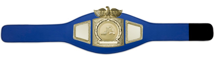 PROEAGLE JIU JITSU CHAMPIONSHIP BELT - PROEAGLE/G/JJG - AVAILABLE IN 6+ COLOURS PROEAGLE JIU JITSU CHAMPIONSHIP BELT - PROEAGLE/G/JJG - AVAILABLE IN 6+ COLOURS